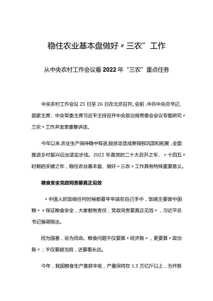 稳住农业基本盘做好“三农”工作讲稿.docx