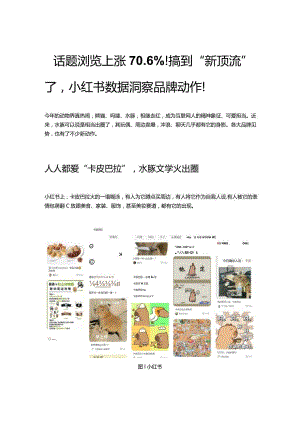 话题浏览上涨70.6%！搞到“新顶流”了小红书数据洞察品牌动作！.docx
