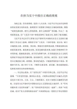 第二批主题教育研讨交流发言提纲《在担当实干中践行正确政绩观》.docx