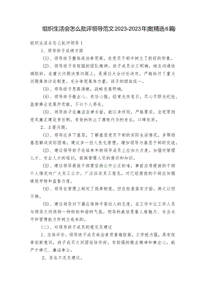 组织生活会怎么批评领导范文2023-2023年度(精选6篇).docx