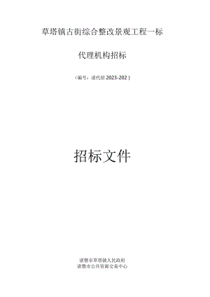 草塔镇古街景观工程一标整治综合方案.docx