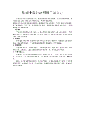 膨润土猫砂堵厕所了怎么办.docx