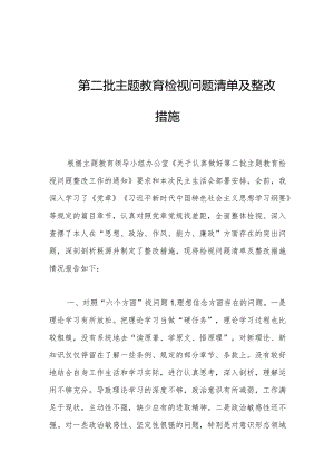 第二批主题教育检视问题清单及整改措施.docx