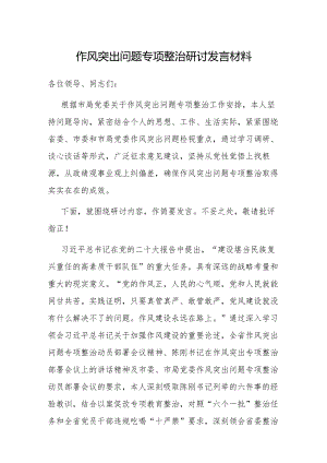研讨发言：作风突出问题专项整治交流材料.docx
