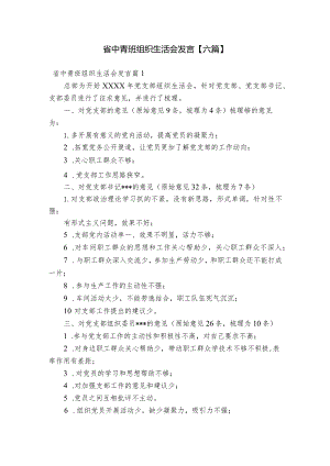 省中青班组织生活会发言【六篇】.docx