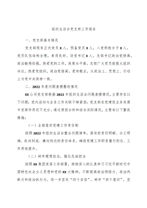 组织生活会党支部工作报告.docx