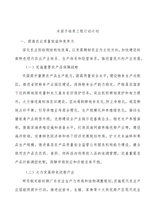 米袋子培育工程行动计划.docx