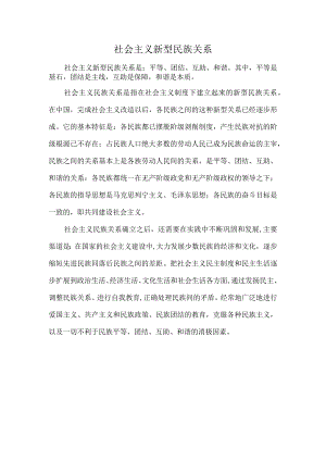 社会主义新型民族关系.docx
