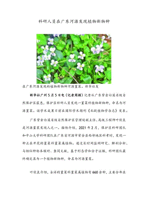 科研人员在广东河源发现植物新物种.docx