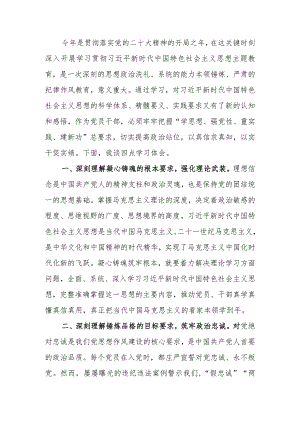 第二批教育研讨交流：凝心铸魂实干担当范文两篇.docx