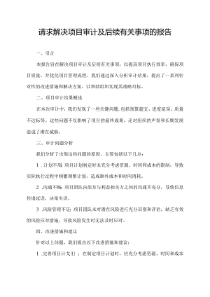 请求解决项目审计及后续有关事项的报告.docx