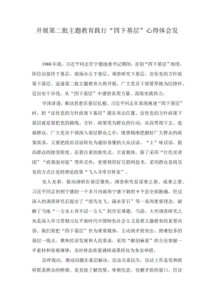 第二批主题教育践行“四下基层”心得体会（3篇）.docx