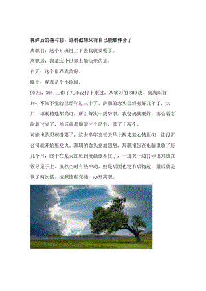 裸辞后的喜与悲这种滋味只有自己能够体会了.docx