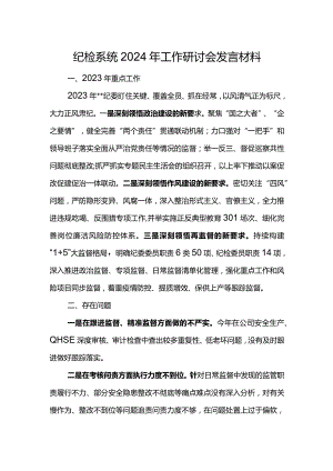 纪检系统2024年工作研讨会发言材料5.docx