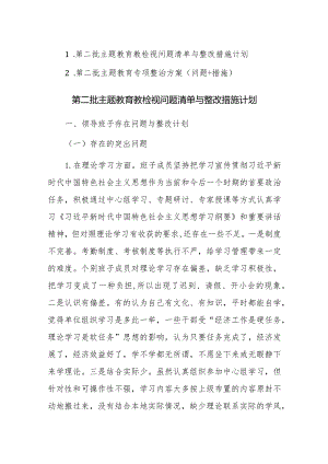 第二批主题教育教检视问题清单与整改措施计划及专项整治方案（问题+措施）范文2篇.docx