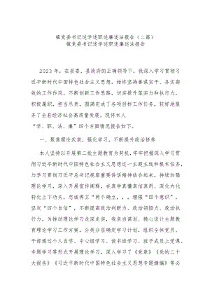 镇党委书记述学述职述廉述法报告(二篇).docx