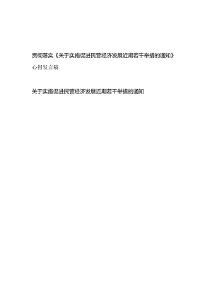 贯彻落实《关于实施促进民营经济发展近期若干举措的通知》心得发言稿关于实施促进民营经济发展近期若干举措的通知.docx