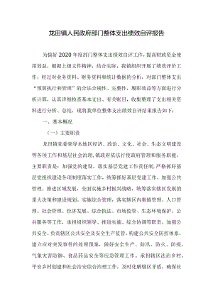 龙田镇人民政府部门整体支出绩效自评报告.docx