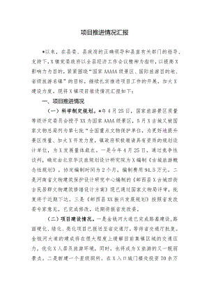 项目推进情况汇报.docx