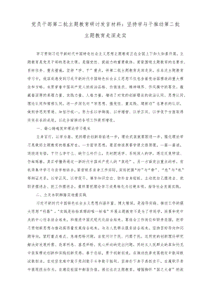 （2篇）党员干部第二批主题教育研讨发言材料：坚持学与干推动第二批主题教育走深走实+政府党员干部第二批主题教育学习心得体会.docx