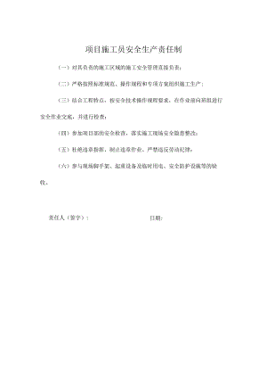项目施工员安全生产责任制.docx
