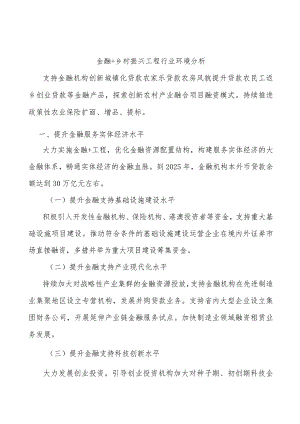 金融+乡村振兴工程行业环境分析.docx