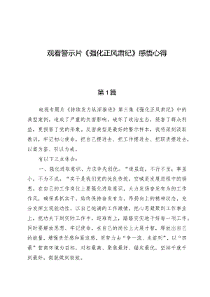 （8篇）观看警示片《强化正风肃纪》感悟心得.docx