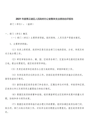 部门（单位）整体支出绩效自评报告.docx
