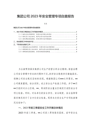 集团公司2023年安全管理专项自查报告.docx