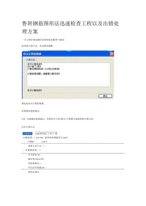 鲁班钢筋检查工程及解决方案.docx
