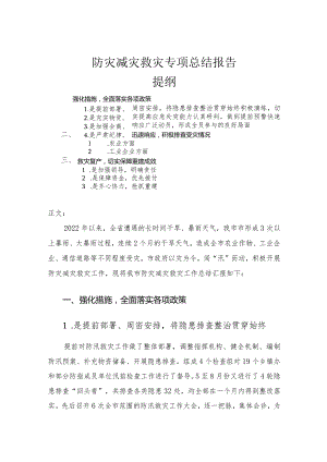 防灾减灾救灾专项总结报告.docx