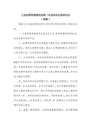 （工会换届）经费审查委员会第一次全体会议选举办法.docx