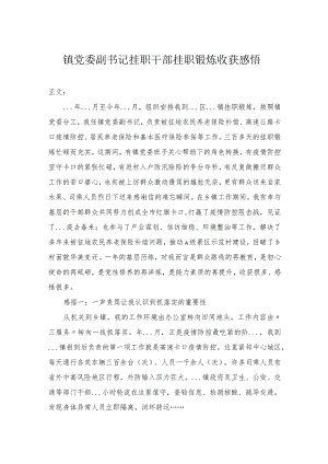 镇党委副书记挂职干部挂职锻炼心得体会.docx