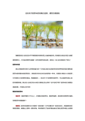 这份关于胚芽米的攻略已送到请您注意查收.docx