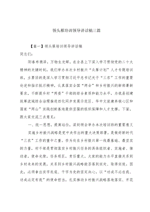 领头雁培训领导讲话稿三篇.docx