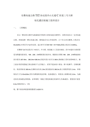 钻孔施工方案.docx