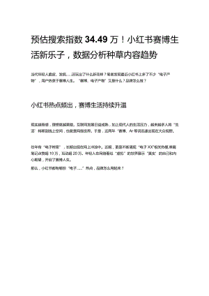 预估搜索指数34.49万！小红书赛博生活新乐子数据分析种草内容趋势.docx