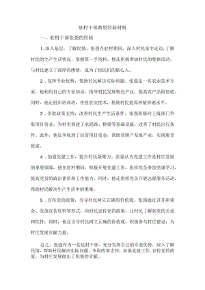 驻村干部典型经验材料.docx