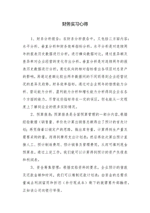 财务实习心得.docx