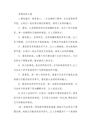 赏菊花的文案.docx