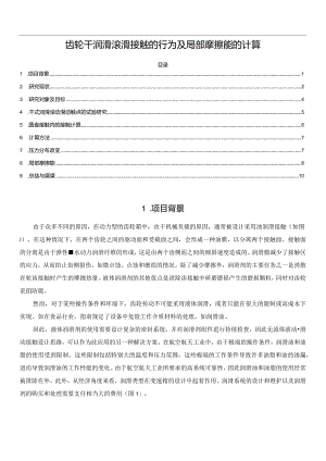 齿轮干润滑滚滑接触的行为及局部摩擦能的计算.docx