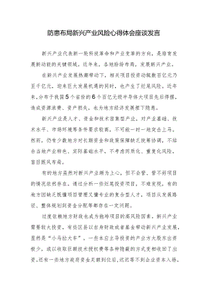 防患布局新兴产业风险心得体会座谈发言.docx