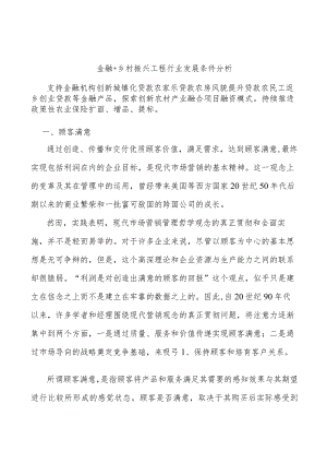 金融+乡村振兴工程行业发展条件分析.docx
