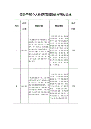 领导干部个人检视问题清单与整改措施.docx