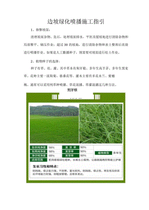 边坡绿化喷播施工指引.docx