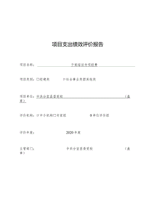 项目支出绩效评价报告.docx