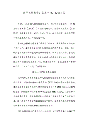 迪拜气候大会：成果丰硕共识不易.docx