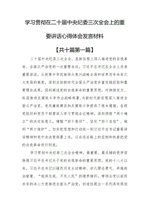 （10篇）学习贯彻在二十届中央纪委三次全会上的重要讲话心得体会发言材料.docx