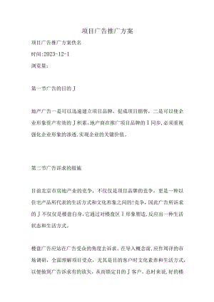 项目推广的广告方案.docx