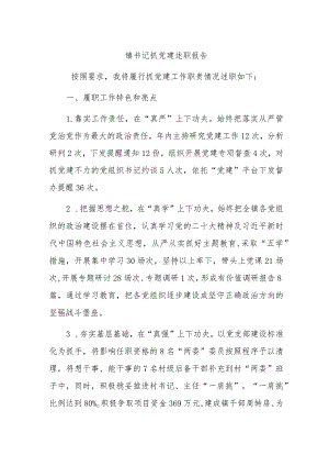 镇书记抓党建述职报告.docx